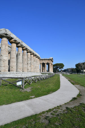 The columns of an ancient Greek temple in the archaeological park of Paestum in Campania.のeditorial素材