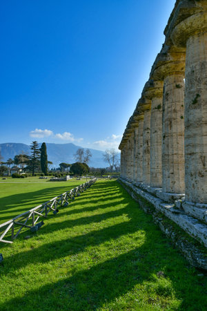 The columns of an ancient Greek temple in the archaeological park of Paestum in Campania.のeditorial素材