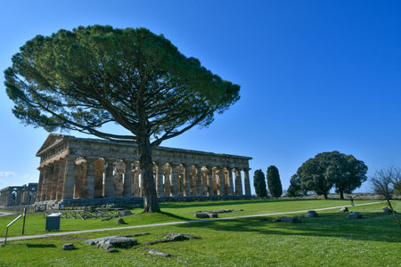 The landscape of the archaeological park of Paestum in the province of Salerno, Campaniaのeditorial素材