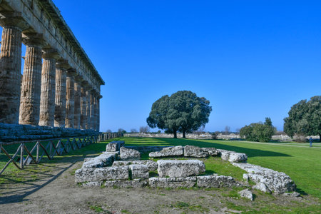 The landscape of the archaeological park of Paestum in the province of Salerno, Campania.のeditorial素材