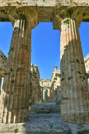 The columns of an ancient Greek temple in the archaeological park of Paestum in Campania.のeditorial素材