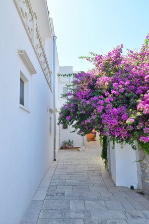 A characteristic alley in Castro, an old village in the province of Lecce, Puglia.の写真素材