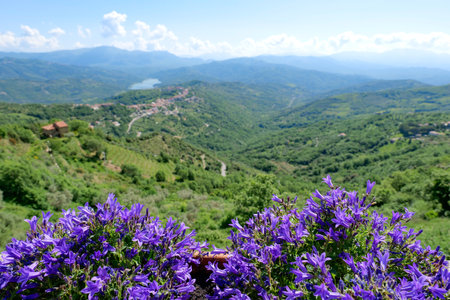 Landscape view in a natural park in Campania.の写真素材