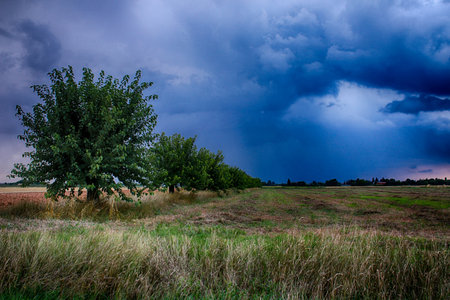 Stormy sky over the field. Agricultural landscape. Ukraine, Europeの写真素材