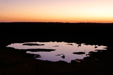Springbok.の写真素材