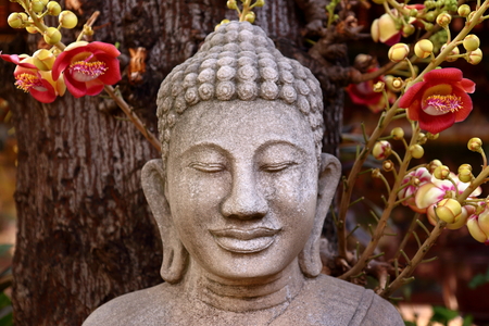 Buddha and the Bodhi treeの写真素材