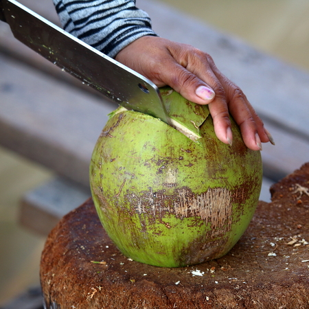 Coconut preparation: cuttingの写真素材