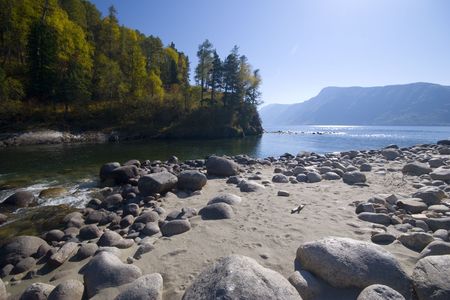 River flows into Teletskoe lakeの写真素材