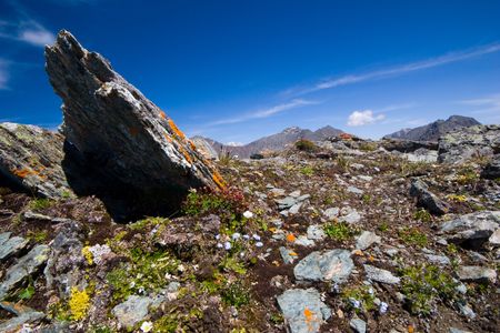 High up in the Altai mountains.の写真素材