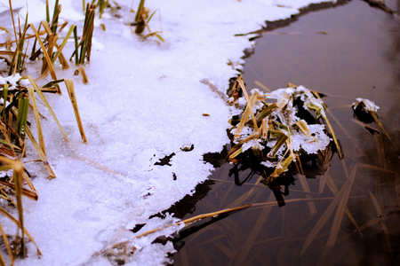 Ice & waterの写真素材