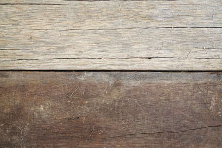 Texture of wood background nature pattern closeupの写真素材