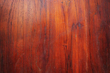 Texture of wood background nature pattern closeupの写真素材