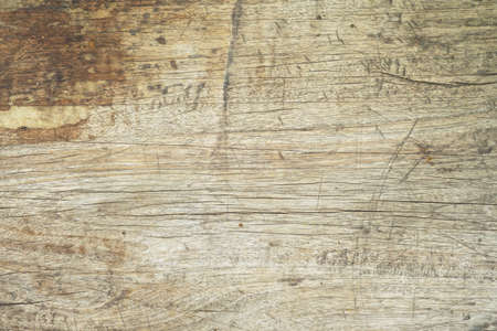 Texture of wood background nature pattern closeupの写真素材