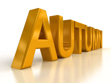Yellow autumnの写真素材