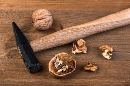 Walnut and hammer on a wooden boardの写真素材