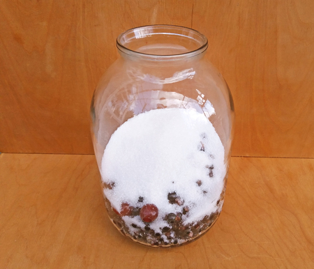 Making currant compoteの写真素材