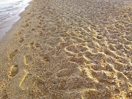 Footprints of people on the sandy beach in Greeceの写真素材