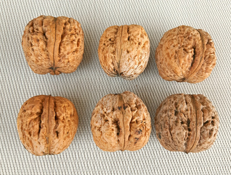 Big nuts close up on the canvas bacgroundの写真素材