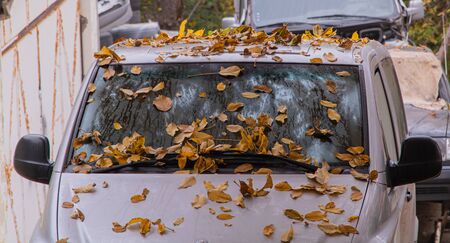 The leaves fell over the car in the fall.の写真素材