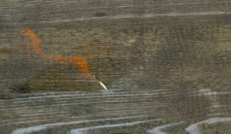 Small fire on wooden background . Alcohol burn.の写真素材