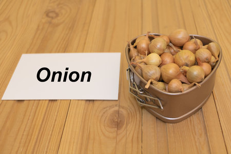 Small onion seedlings - Onion text concept. Wooden background.の写真素材