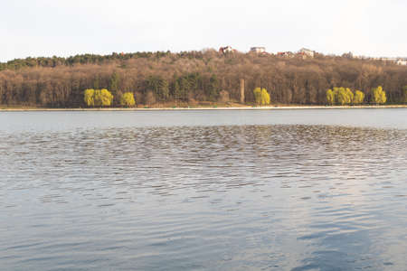 A beautiful lake and a few willow trees that getting gren in springの写真素材