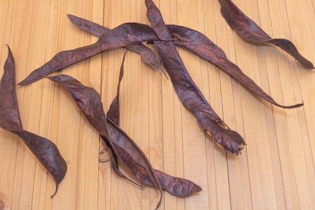 Gleditsia triacanthos tree seed pods on wooden background.