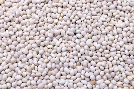 Close up shot of white beans raw textured.