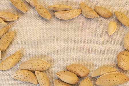 Close up shot of almonds with copy space.の写真素材