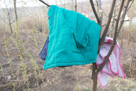A coat hanging in the tree in the spring in the garden - Concept for the coming the warm seasonの写真素材
