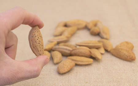 Close up shot of Almonds in the hand of a man - Almonds benefits conceptの写真素材