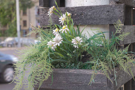 Some flowers planted in wooden containers placed next to the road for street decoration