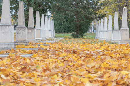 Honoring the Departed: Yellow Maple Leaves and Gravestones in Fallの写真素材