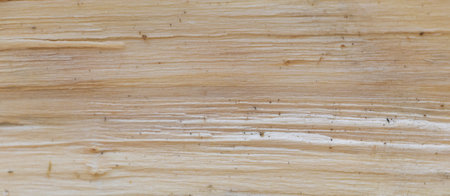 The Intricate Details of Split Wood: A Close-Up Texture Shot.