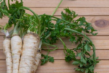 Fresh from the Garden: Close-Up of Parsley with Roots on Wooden Background.の写真素材