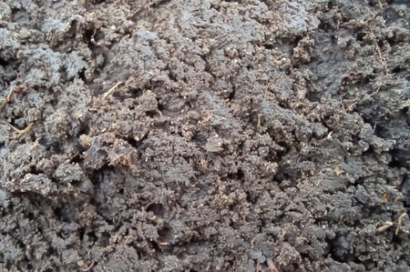 Dry soil texture for background. Top view. Close up.の写真素材