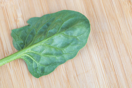 Spinach leaves on a wooden background. Selective focus.の写真素材