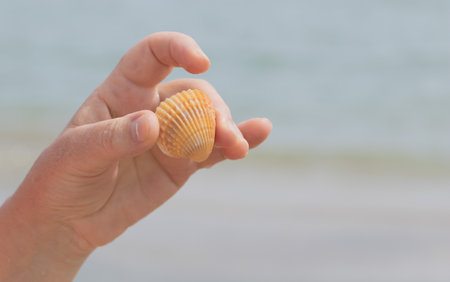 Female hand holding a seashell on the background of the sea