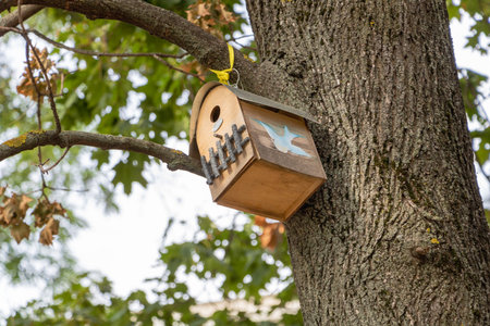 A birdhouse hanging from the branch of an oak tree.