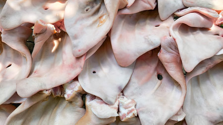 A pile of raw pig ears texture in the meat factory close upの写真素材