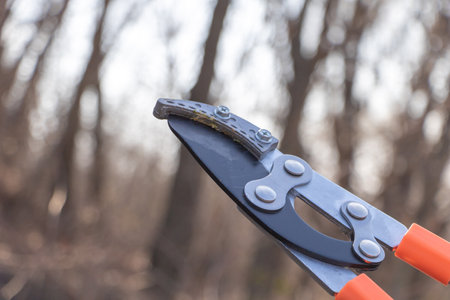 Close-up of tree shears with an orange handle, blurry background of trees in the distance.の写真素材