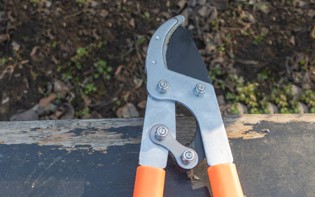 Close-up of orange and gray pruners with a black handle on the side of a wooden board, against a...