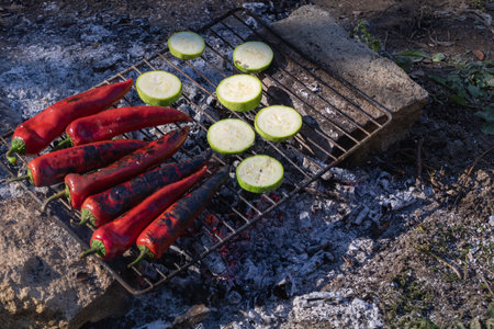 Grilled Red Chili Peppers and Zucchini Slices on BBQ Grill Over Hot Coals.の写真素材