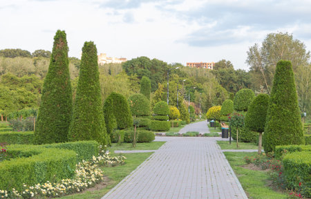 A topiary garden in a city park, with green bushes and trees shaped into various figures, surrounded by flower beds on the sides.の写真素材