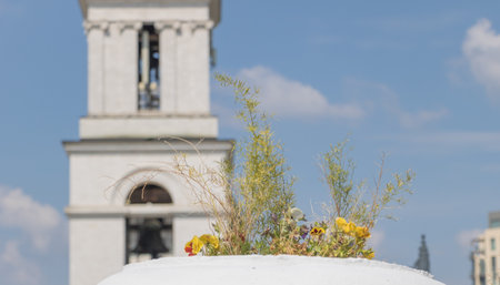 A close-up of the top of an urban rooftop garden, with wildflowers and greenery growing on the white concrete tall building roof. In the foreground, there is a blurred view of a church bell.の写真素材