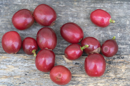 Freshly harvested red coffee cherries on rustic wooden background.の写真素材