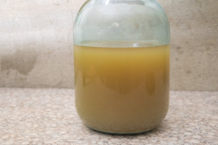 Homemade unfiltered white wine in glass jar on kitchen surface, traditional rustic beverage with...