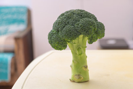 Fresh whole broccoli standing upright on indoor table, healthy green vegetable for nutrition, cooking and diet concepts.の写真素材