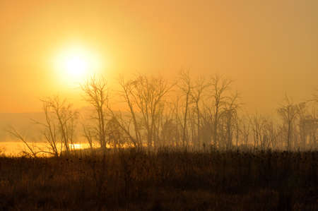 Dawn in Africaの写真素材