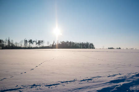Winter landscape with footprints in the snow and a sun flareの写真素材